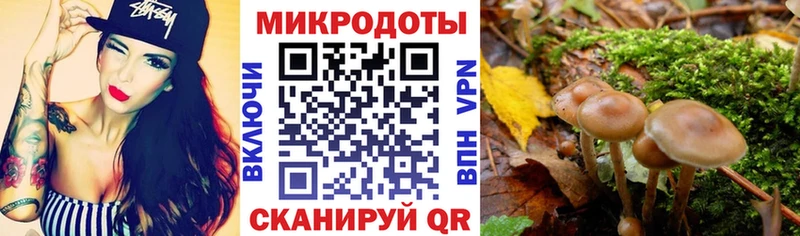 купить цена ссылка на мегу ссылка Галлюциногенные грибы мицелий Сухиничи